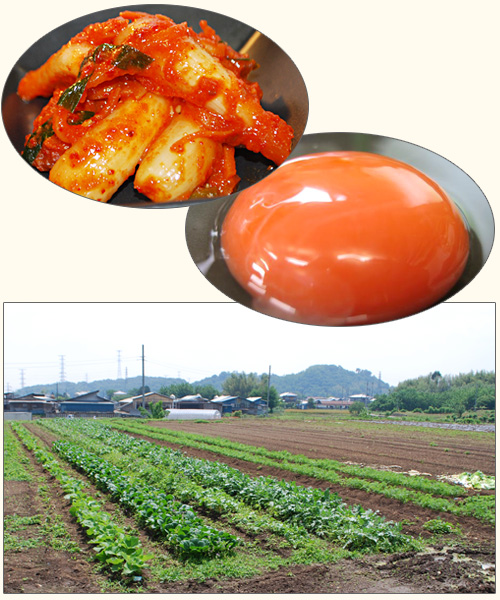 キムチ・たまご・自社農場